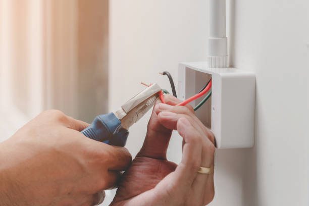 Best Electrical Panel Upgrades  in Medina, TX